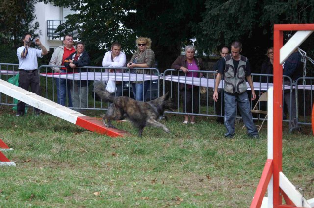 foire-haricots 2011-09-17et18